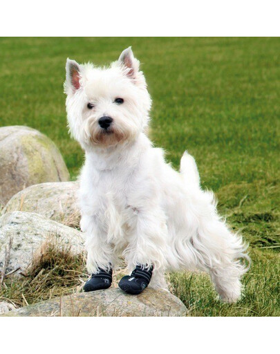 TRIXIE Chaussures de protection Walker Active 2 pcs.
