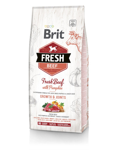 BRIT Fresh beef with pumpkin puppy large - Boeuf frais & citrouille pour chiot de grandes races - 12 kg