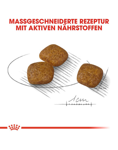 ROYAL CANIN Mini urinary care 3 kg