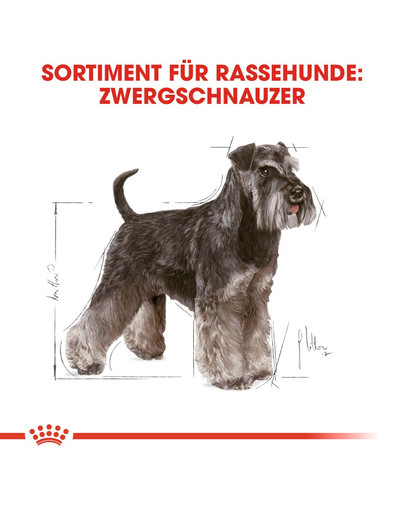 ROYAL CANIN Miniature schnauzer adult 3 kg