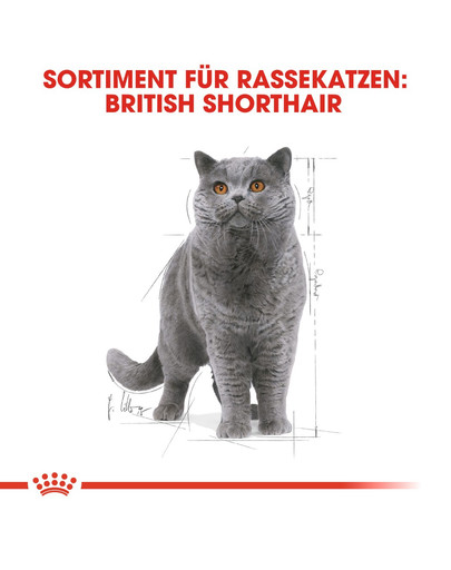 ROYAL CANIN British Shorthair 85g