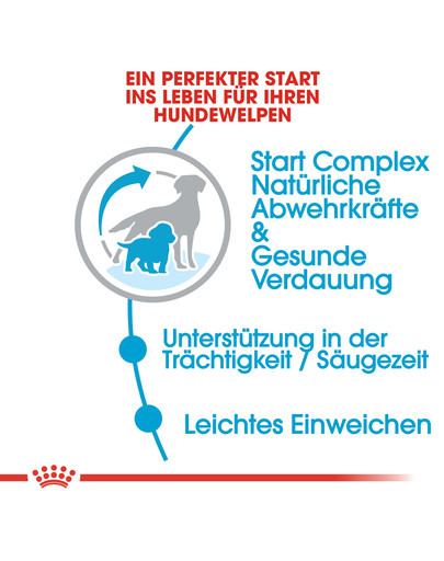 ROYAL CANIN Medium starter mother & babydog 4kg
