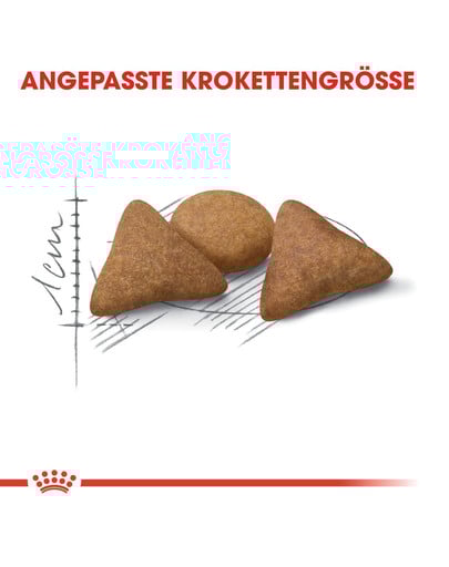 ROYAL CANIN Indoor appetite control 2 kg