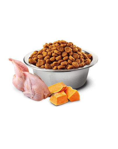 FARMINA N&D Pumpkin Quail & Pomegranate Adult Cat 300 g