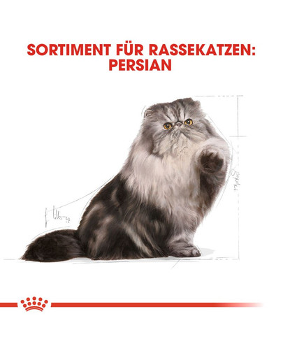ROYAL CANIN Persian 10 kg