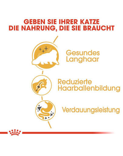 ROYAL CANIN Persian 10 kg
