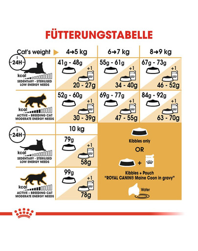 ROYAL CANIN Maine coon 10 kg