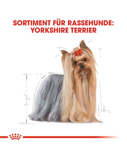ROYAL CANIN Yorkshire terrier adult 0.5 kg