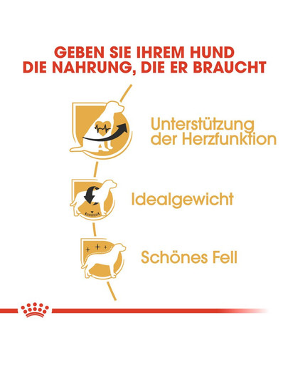 ROYAL CANIN Cavalier king charles adult - nourriture sèche pour chiens adultes de race cavalier king charles spaniel - 1.5 kg