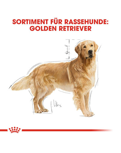 ROYAL CANIN Golden retriever adult 3 kg