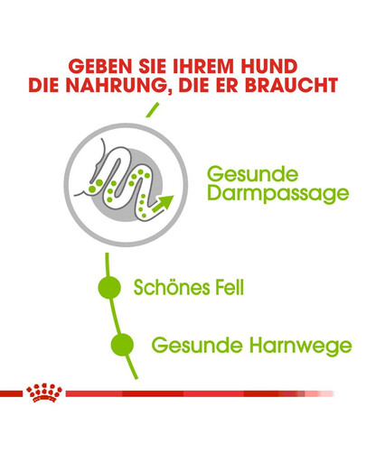 ROYAL CANIN X-Small adult 3 kg