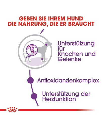 ROYAL CANIN Giant adult 15 kg + 3 kg gratis
