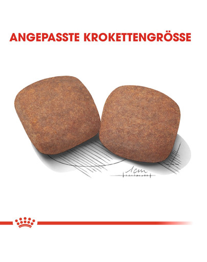 ROYAL CANIN Giant adult 15 kg + 3 kg gratis