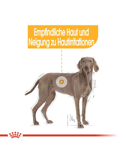 ROYAL CANIN Maxi Dermacomfort 10 kg