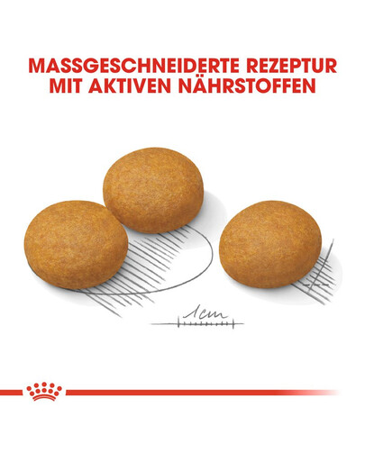 ROYAL CANIN Maxi Dermacomfort 10 kg