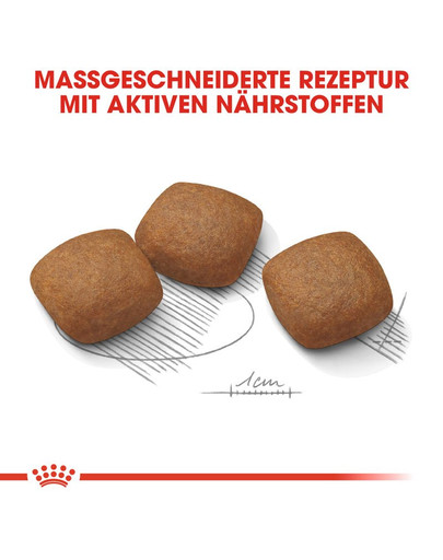 ROYAL CANIN Maxi Joint Care 10 kg