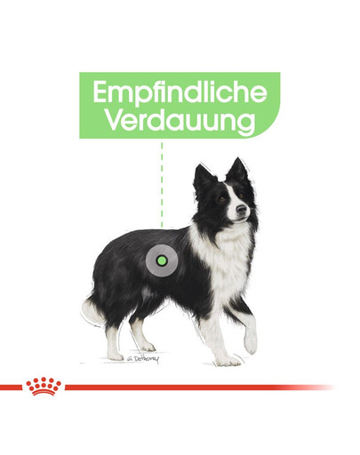 ROYAL CANIN Medium Digestive Care 3 kg