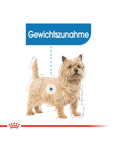 ROYAL CANIN Mini light weight care 8 kg