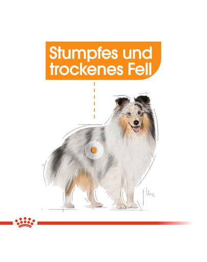 ROYAL CANIN Mini coat care 3 kg