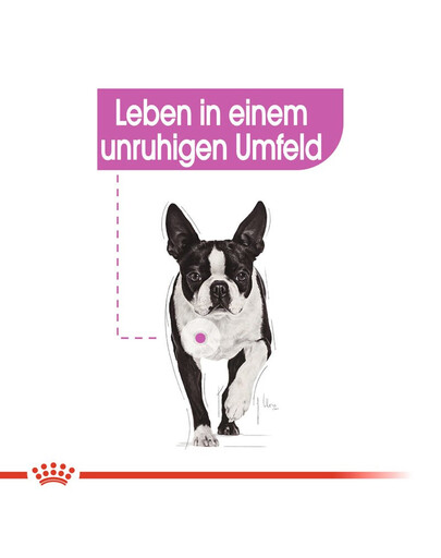 ROYAL CANIN Mini relax care 3 kg