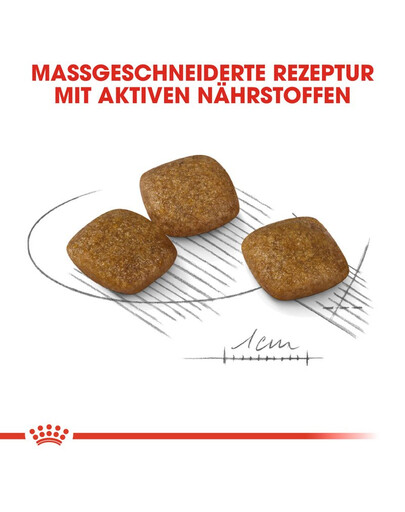 ROYAL CANIN Mini relax care 3 kg