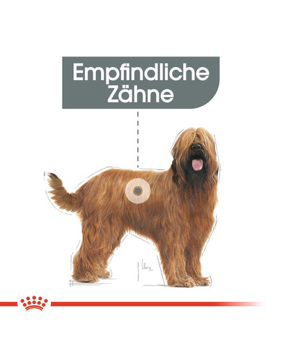 ROYAL CANIN Maxi Dental Care 3 kg