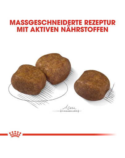 ROYAL CANIN Maxi Dental Care 3 kg