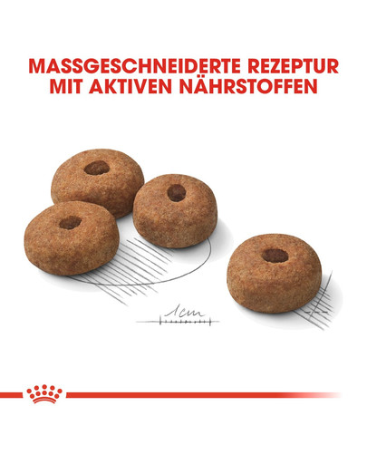 ROYAL CANIN Maxi Sterilised 3 kg