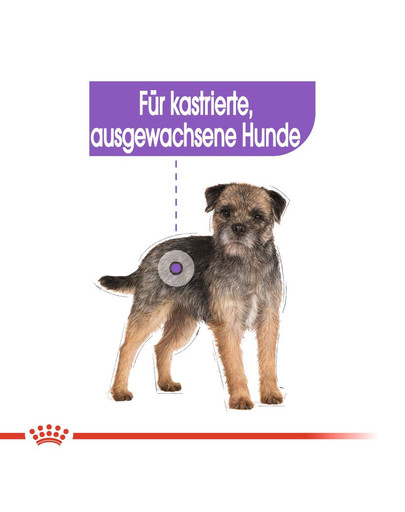 ROYAL CANIN Mini sterilised 1 kg