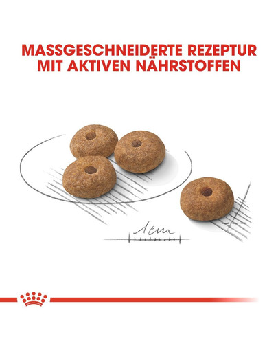 ROYAL CANIN Mini sterilised 1 kg
