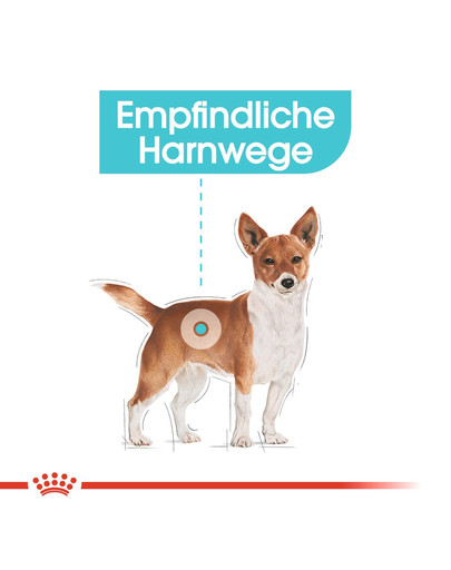 ROYAL CANIN Mini urinary care 8 kg
