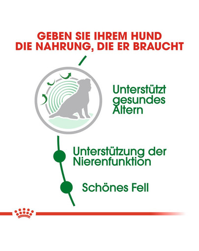 ROYAL CANIN Mini ageing 12+ 3.5 kg