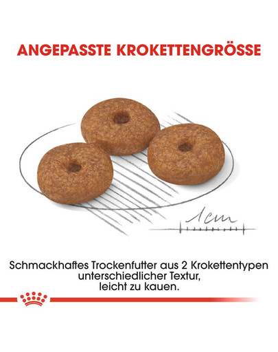 ROYAL CANIN Mini ageing 12+ 3.5 kg