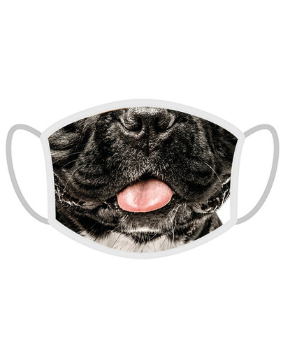 FERA Masque de protection pour bouledogue français