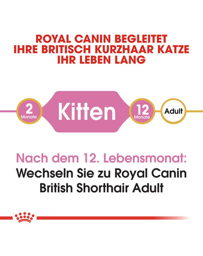 ROYAL CANIN Kitten British Shorthair 2 kg