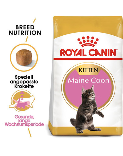 ROYAL CANIN Maine Coon Kitten 400 g