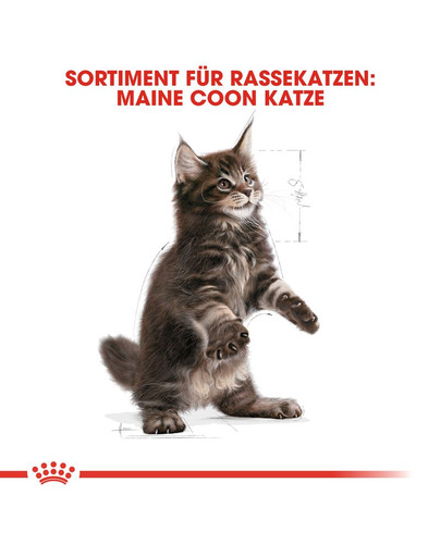 ROYAL CANIN Kitten Maine Coon 0.4 kg