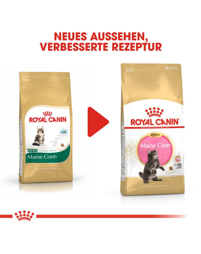 ROYAL CANIN Kitten Maine Coon 0.4 kg
