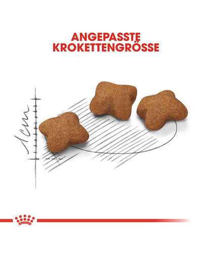 ROYAL CANIN Kitten sterilised 0.4 kg