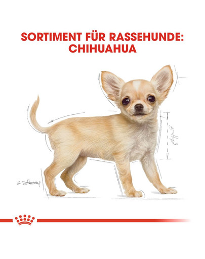 ROYAL CANIN Chihuahua junior 0.5 kg