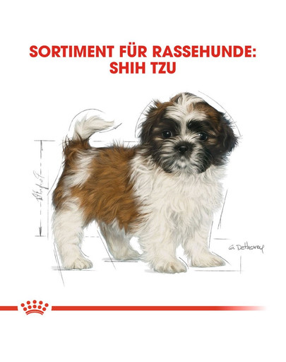 ROYAL CANIN Shih Tzu junior 0.5 kg