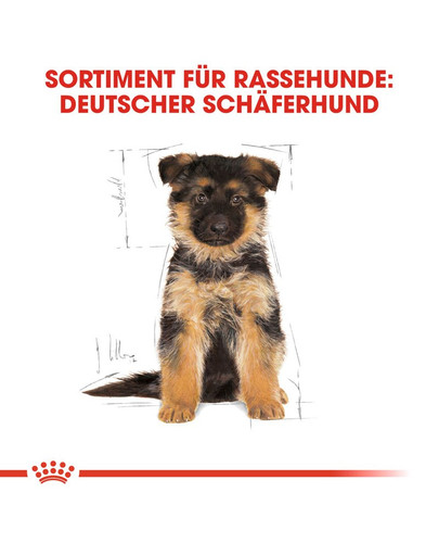 ROYAL CANIN German Shepherd junior 12 kg