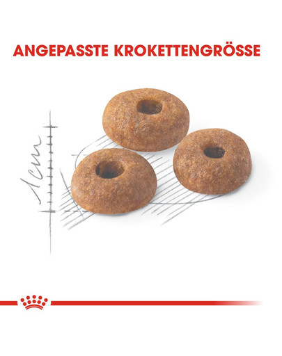 ROYAL CANIN Fit 32 0.4 kg