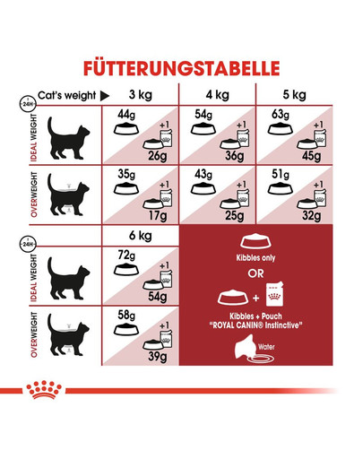 ROYAL CANIN Fit 32 10 kg