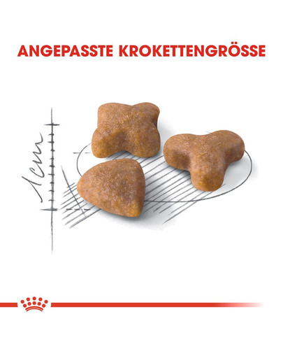 ROYAL CANIN Sensible 10 kg + 2 kg GRATUIT