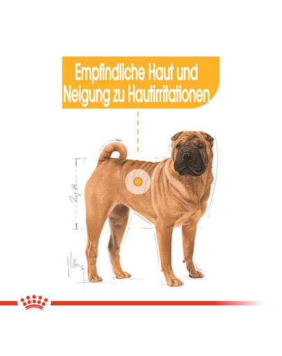 ROYAL CANIN Medium dermacomfort 3 kg