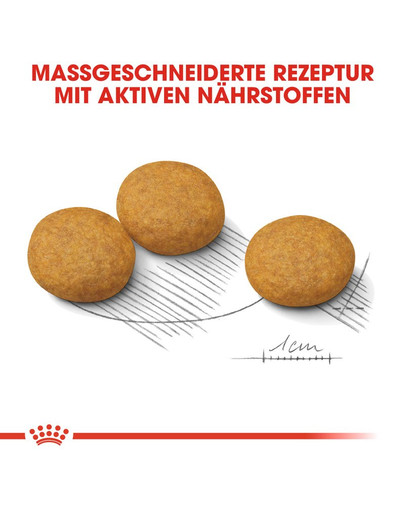 ROYAL CANIN Medium dermacomfort 3 kg