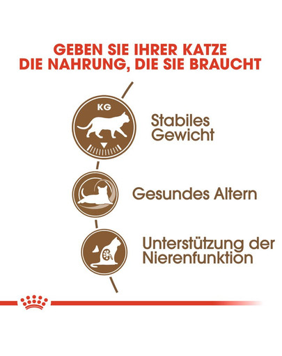 ROYAL CANIN Sterilised 12 + 4kg