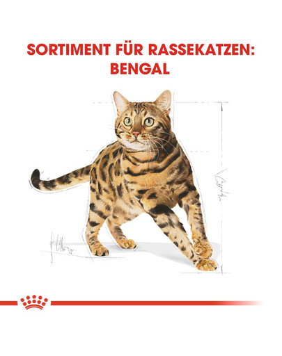 ROYAL CANIN Bengal Adult 2 kg