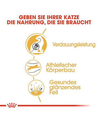 ROYAL CANIN Bengal Adult 2 kg